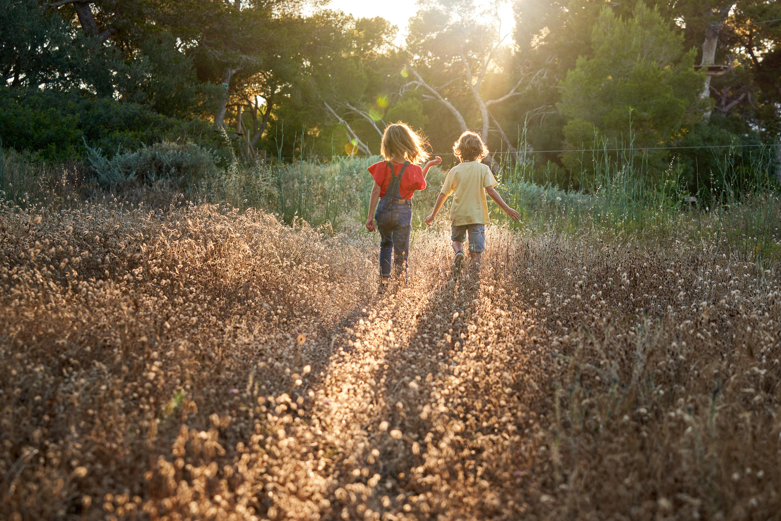 Kids walking in nature together